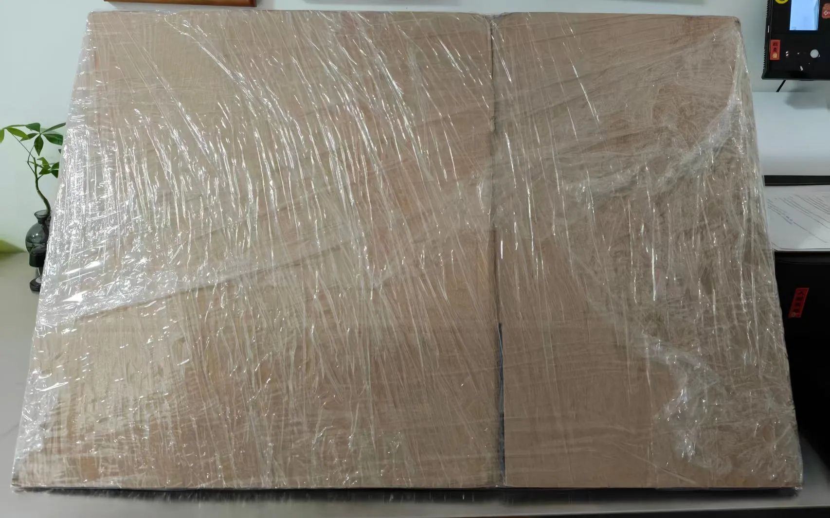 ​Probe noi au fost expediate cu succes către clientul internațional